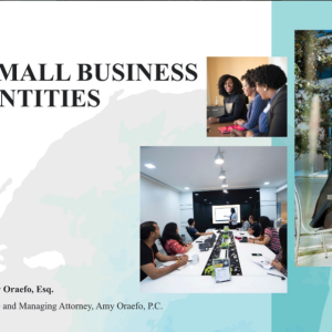 "Small Business Entities" Digital Download